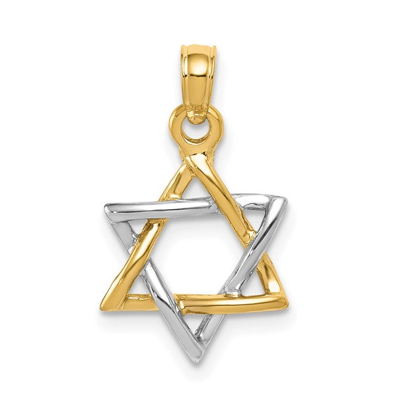 14kt Two tone Polished Star of David