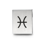 049.1000.Z12 TeNo Pisces Pendant  (choose chain separately)
