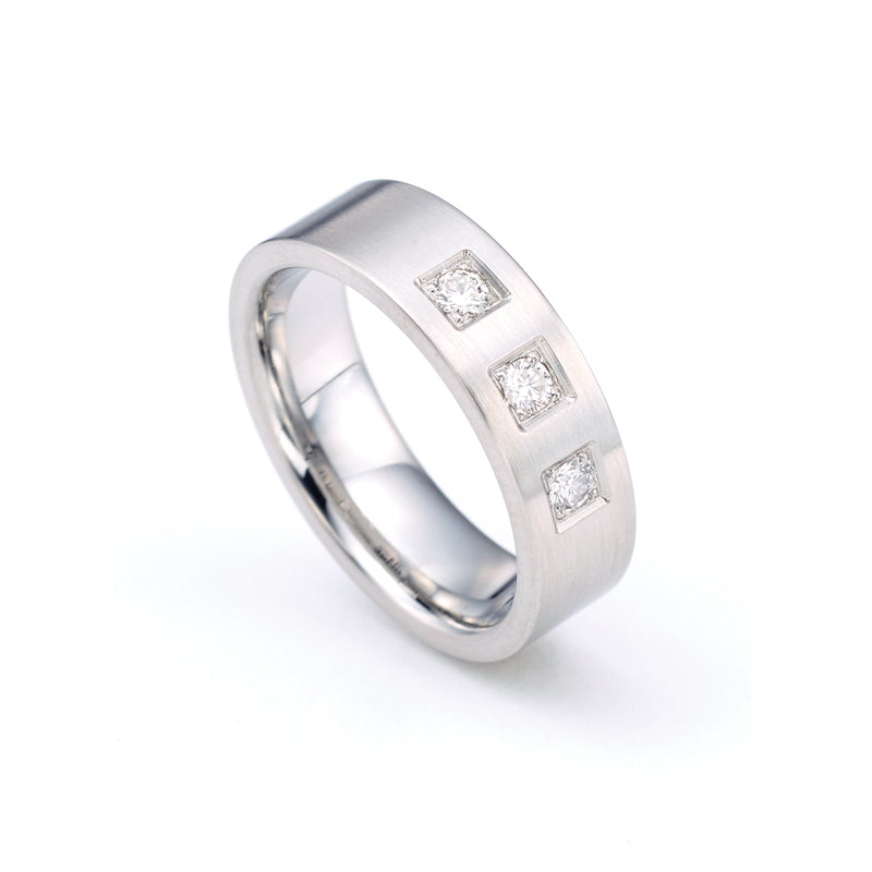 069.13p03.00 TeNo Stainless Steel Ring
