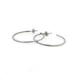 29052-01 TeNo Titanium Earrings