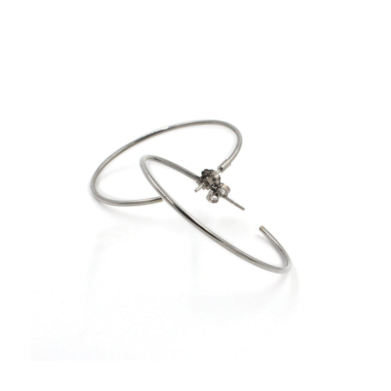 29052-01 TeNo Titanium Earrings