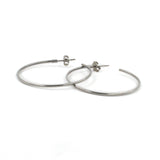 29053-01 TeNo Titanium Earrings