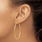 14KT Gold Large Hoop Earrings, 50mm