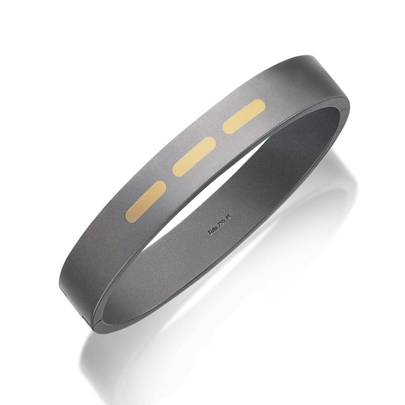 60152-01 Teno Titanium Bangle